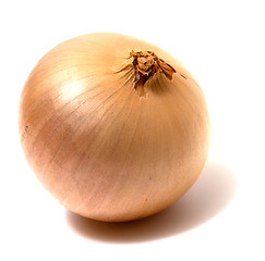 Image showing onion isolated on white background