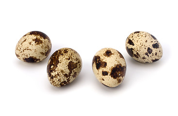 Image showing quail eggs