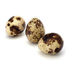 Image showing quail eggs