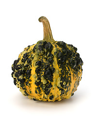 Image showing Decorative pumpkin 