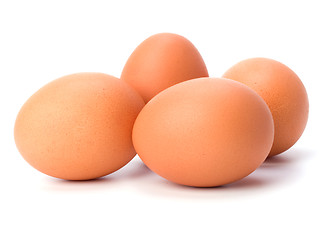 Image showing eggs isolated on white background