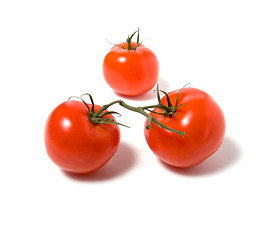 Image showing two tomato isolated on the white background 