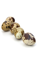 Image showing quail eggs