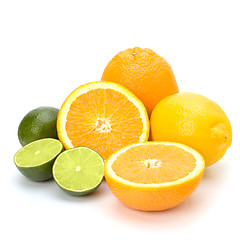 Image showing Citrus fruits