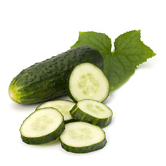 Image showing cucumber