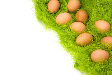 Image showing eggs border 