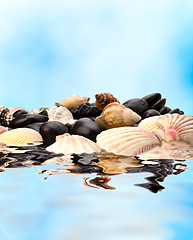 Image showing Summer holidays concept. Beach with pebbles and shells.