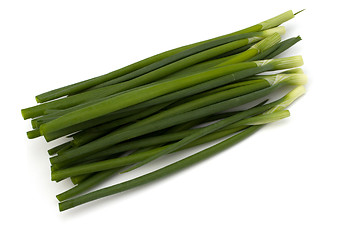 Image showing spring onion 