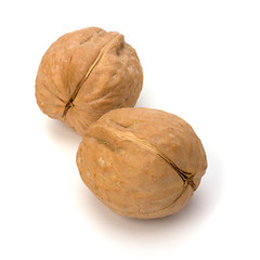 Image showing Circassian walnut isolated on the white background 