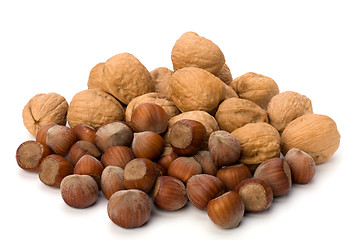Image showing nuts isolated on white background 