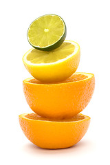 Image showing Citrus fruits