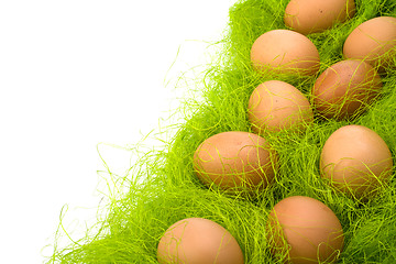 Image showing eggs border 