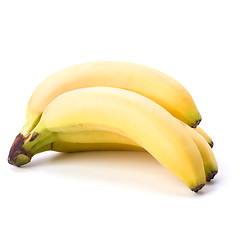 Image showing bananas isolated on white background