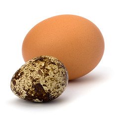 Image showing quail and hen's eggs 
