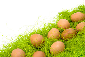 Image showing eggs border 