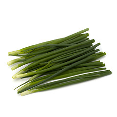 Image showing spring onion 