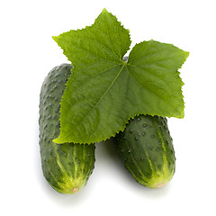 Image showing cucumber