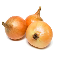 Image showing onion isolated on white background