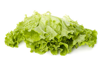 Image showing Lettuce salad isolated on white background