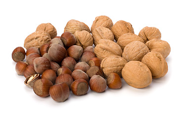 Image showing nuts isolated on white background 