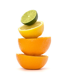 Image showing Citrus fruits