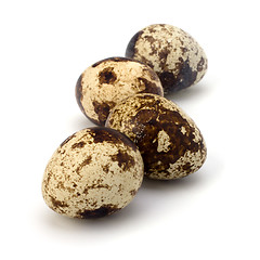 Image showing quail eggs