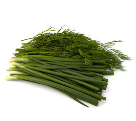 Image showing dill and young onion isolated on white background