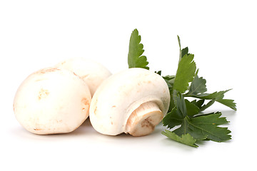 Image showing Champignons isolated on white background