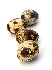 Image showing quail eggs