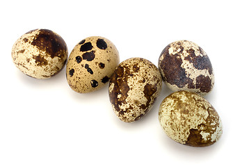 Image showing quail eggs