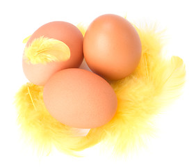 Image showing Eggs and feather isolated on white background. Easter decor.