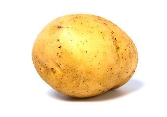 Image showing potato isolated on white background