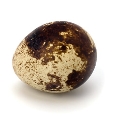 Image showing quail egg