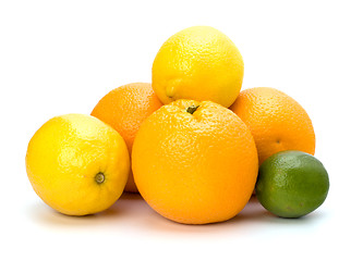 Image showing Citrus fruits