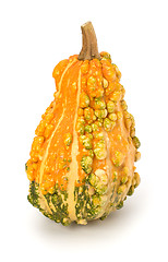 Image showing Decorative pumpkin 