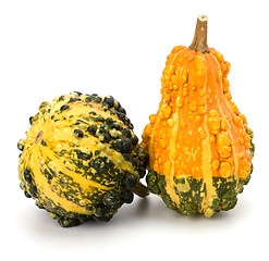 Image showing Decorative pumpkin 