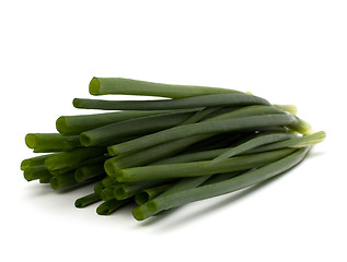 Image showing spring onion 