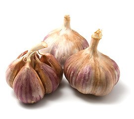 Image showing garlic isolated on white