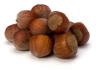 Image showing hazelnuts isolated on white background