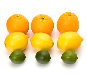 Image showing Citrus fruits