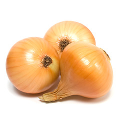 Image showing onion isolated on white background