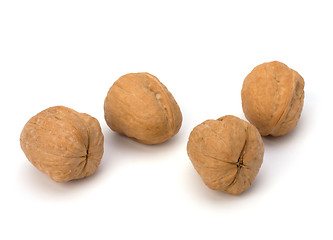 Image showing Circassian walnut isolated on the white background 