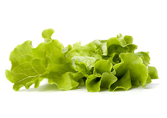 Image showing Lettuce salad isolated on white background