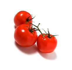 Image showing fasten tomato isolated on white background 