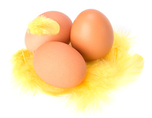 Image showing Eggs and feather isolated on white background. Easter decor.