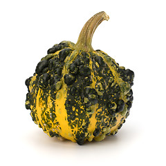 Image showing Decorative pumpkin 
