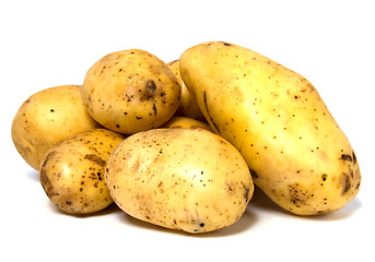 Image showing potatoes isolated on white background