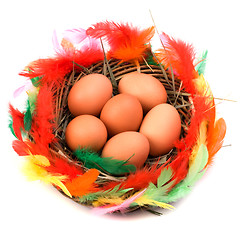 Image showing easter egg in nest isolated on white background