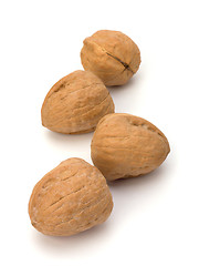Image showing Circassian walnut isolated on the white background 