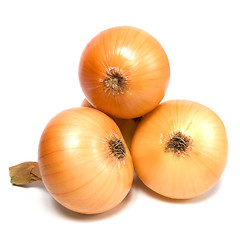 Image showing onion isolated on white background